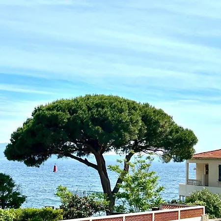 Martini Ajaccio (Corsica)