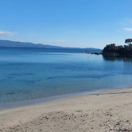 Martini 4* 阿雅克肖